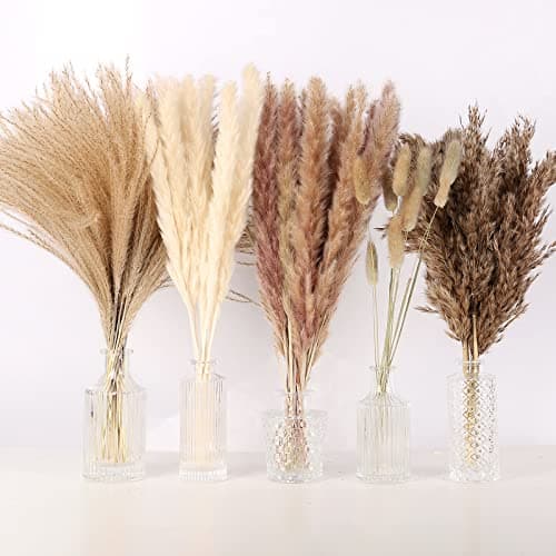 N&T NETING 75Pcs Pampas Grass Decor-10Pcs White Pampas Grass, 20Pcs Brown Pampas Grass, 10Pcs Bunny Tails, 30Pcs Reed Grass, 5Pcs Fluffy Dried Pompas Grass Flowers for Home Wedding Table Boho Decor