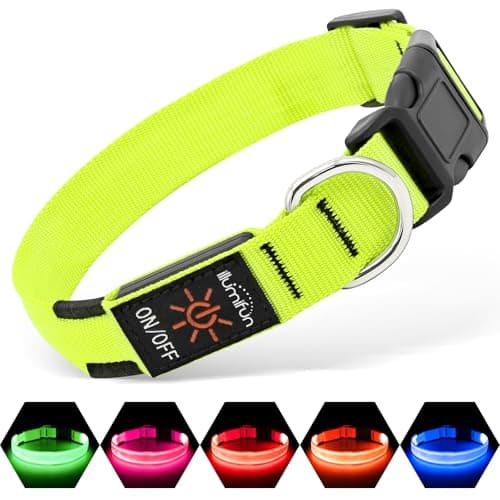 Illumifun LED Dog Collar, Light Up Dog Collar Rechargeable Glow in Dark Pet Collar Safety Dog Lights for Night Walking Camping (Green, Large)