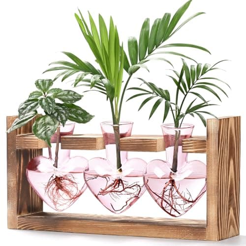 Lifecapido Heart Shaped Propagation Stations, Plant Terrarium with Wooden Stand, Plant Propagation Station for Hydroponics Plants Office Garden Home Decor, Gifts for Women Plant Lover (3 Vases, Pink)