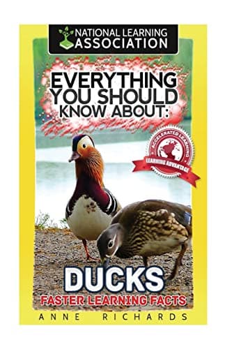 Everything You Should Know About: Ducks Faster Learning Facts