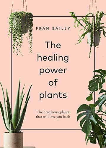 The Healing Power of Plants: The Hero Houseplants That Will Love You Back