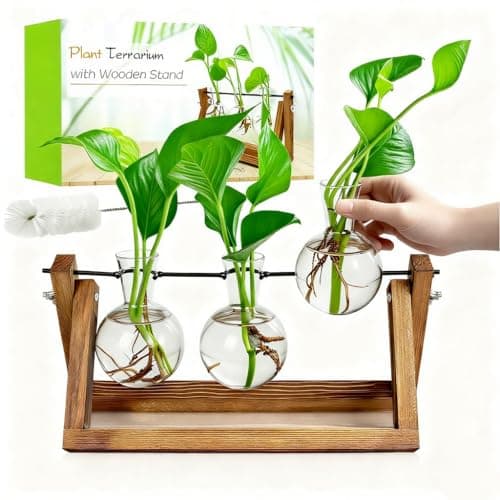 Renmxj Plant Propagation Station, Plant Terrarium with Wooden Stand, Unique Gardening Birthday Gifts for Women Plants Lovers, Home Office Garden Decor Planter - 3 Bulb Glass Vases