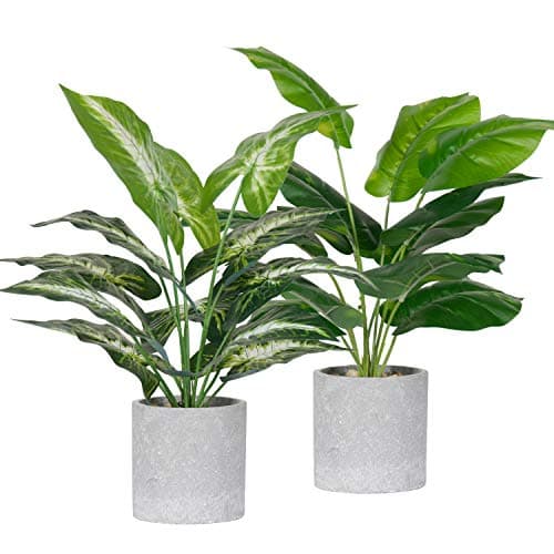 Der Rose 2 Pack Fake Plants Artificial Tropical Faux Plants Indoor for Office Desk Home Sage Green Decor