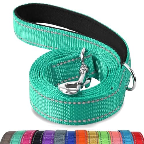 Joytale Dog Leash, 6 FT Double-Sided Reflective, Padded Handle Nylon Heavy Duty Leashes for Medium & Large Dogs Walking, Teal, 6FT