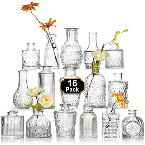 Arme 16Pcs Glass Bud Vase Set，Small Flower Vase for Centerpieces，Clear Bud Vases in Bulk， Mini Vintage Vase for Rustic Wedding Decorations