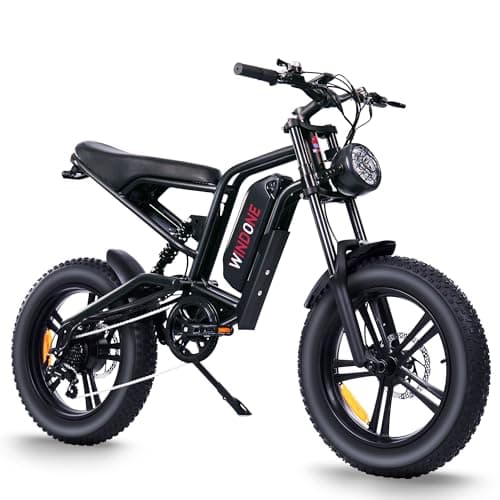 WINDONE E2 Electric Bike for Adults,750W Ebike with 48V13Ah Removable Battery,All-Terrain 20" Fat Tire Electric Bikes Up to 28MPH & 46.6Miles,Full Suspension,Cruise Control,UL Certified,Moped E-Bike