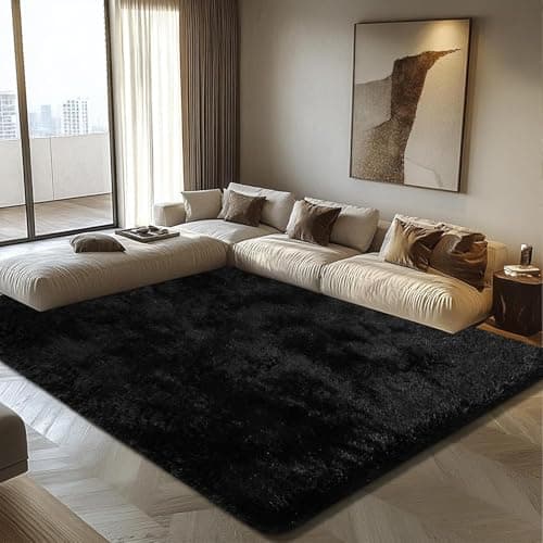 6x9 Fluffy Area Rug for Living Room,Shag Area Rugs for Bedroom,Black Soft Fuzzy Rug Non-Shedding Indoor Plush Carpet for Kids Bedroom Nursery Dorm Home Decor