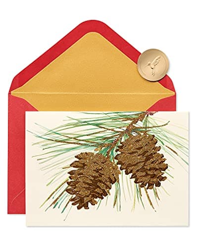 Papyrus Holiday Cards Boxed with Envelopes, Wonderful Year to Come, Pinecones (14-Count)