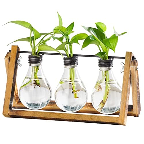 Marbrasse Plant Propagation Stations with Wooden Stand, Desktop Plant Terrarium Holder Bulb Vase, Glass Vase Container with Metal Swivel Holder for Hydroponics of Home Garden Office Decor Lover Gifts