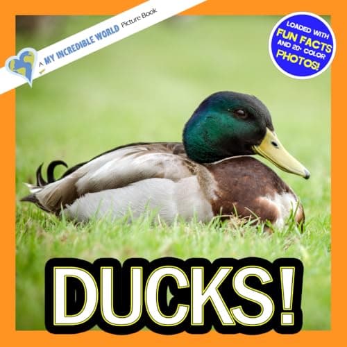 Ducks!: A My Incredible World Picture Book for Children (My Incredible World: Nature and Animal Picture Books for Children)