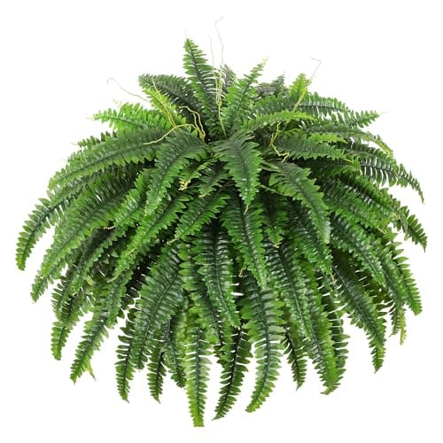 Dkaltm Single Silky Artificial Boston Fern Bush, 49Inch Large Artificial Ferns for Outdoors, Large Faux Ferns Artificial Plants,Suitable for Decorating Office, Living Room Faux Greenery,95Branches