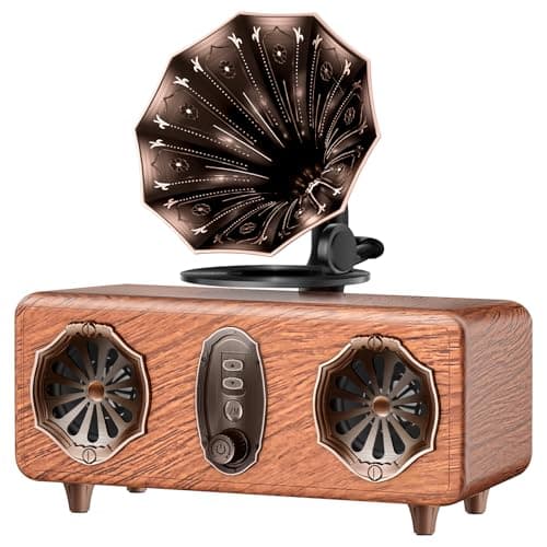 FREEFISH Retro Bluetooth Speaker Retro Radio with 5.4 Bluetooth Version, FM Radio, Bass Vintage Wireless Speaker Support USB/TF/AUX Player for Home Office Room Bedroom, Decorations