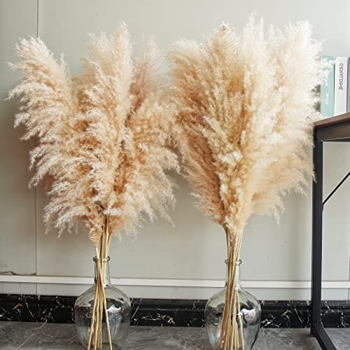 Bannifll Pampas Plus, 40'' Beige Dried Pampas Grass, 10 Stems, Home Decor, Wedding, Party, Farmhouse, Boho Decor