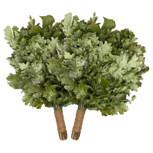 HOLY BANYA European Oak Sauna Whisks – 2 Pack | Premium Natural Oak Bath Brooms for Sauna, Steam Room, Russian Banya & Finnish Spa | Handcrafted Birch-Free Venik Set for Massage, Relaxation & Detox