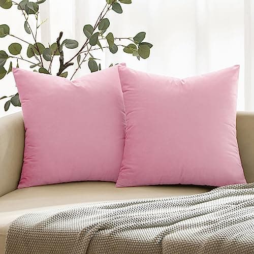 ANRODUO Pack of 2 Velvet Baby Pink Throw Pillows Spring Decorative Pillow Covers Euro Cushion Case Soft Solid Square Cozy Modern Home Decor Pillowcase for Sofa Couch Bed and Living Room 18x18 Inch