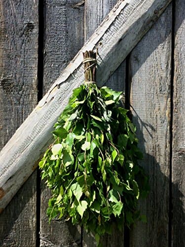 Birch + Mint Sauna Whisk Venik Broom Season 2022 SaunaGoods Organic Massage Banya Wenik Natural Bath House (1 Birch+Mint whisk)