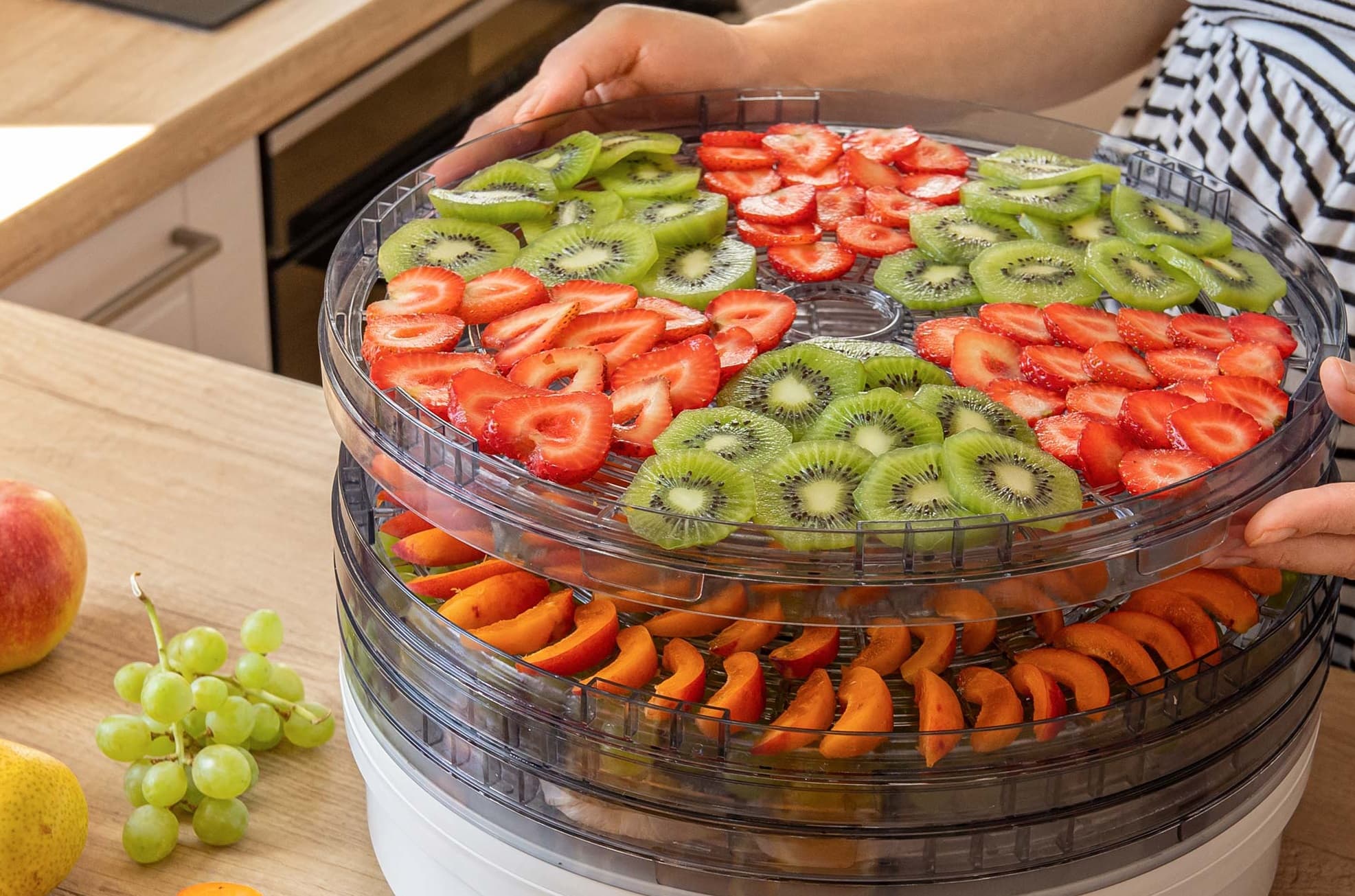 Food Dehydrators