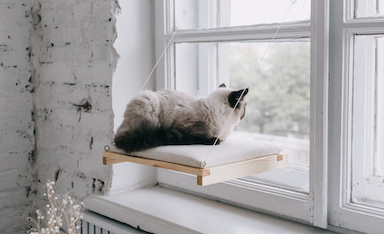 Cat Beds for Window