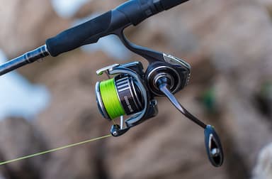 Daiwa Spinning Reels