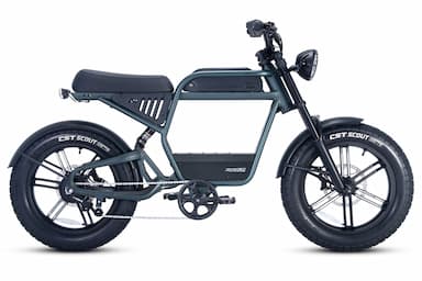 Electric Bikes for Adults