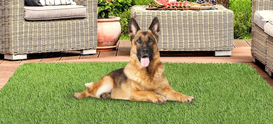 Artificial Grass Rugs for Dogs