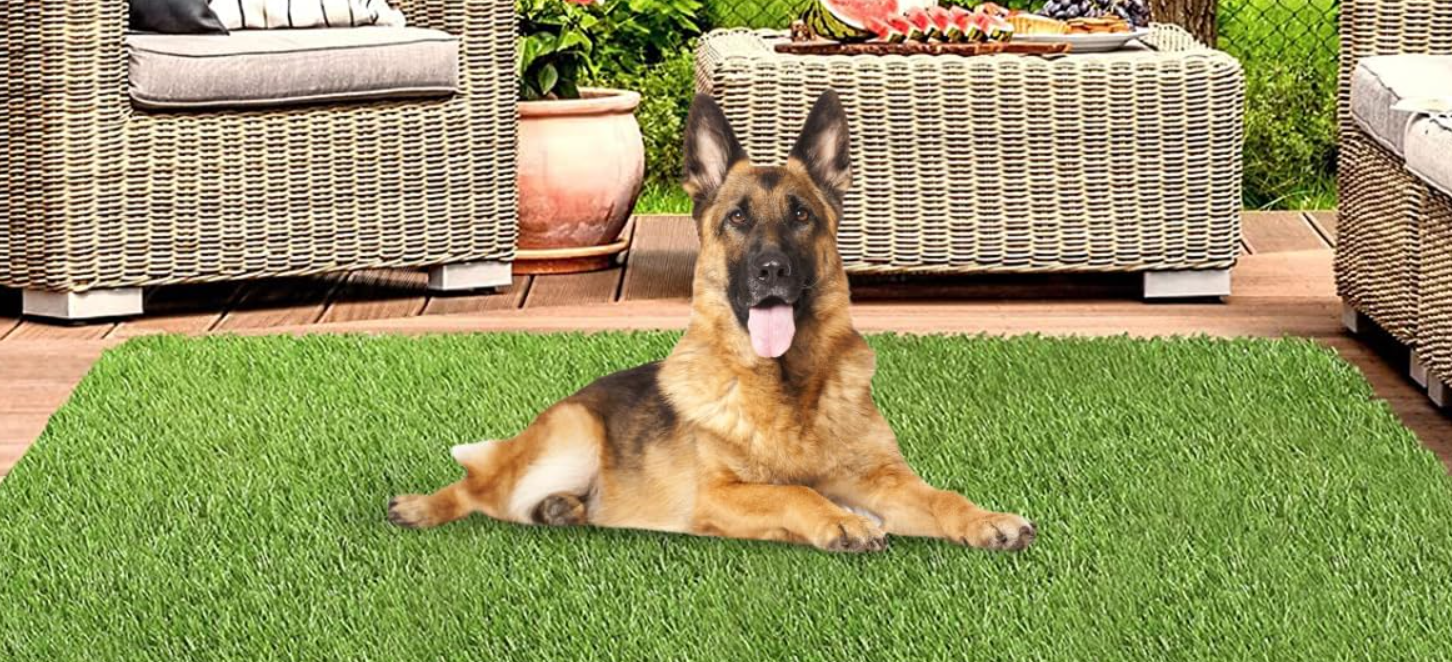 Artificial Grass Rugs for Dogs