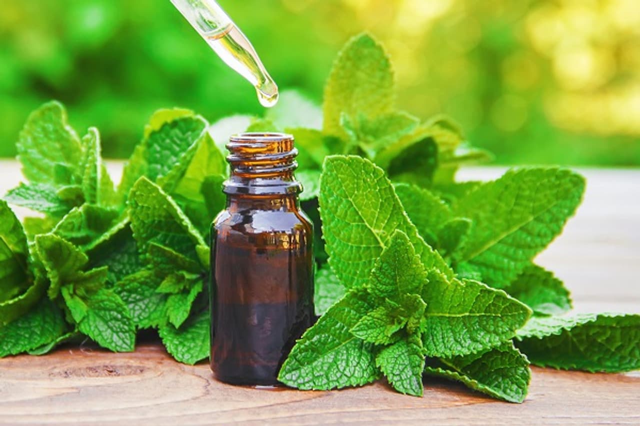 Peppermint Essential Oils