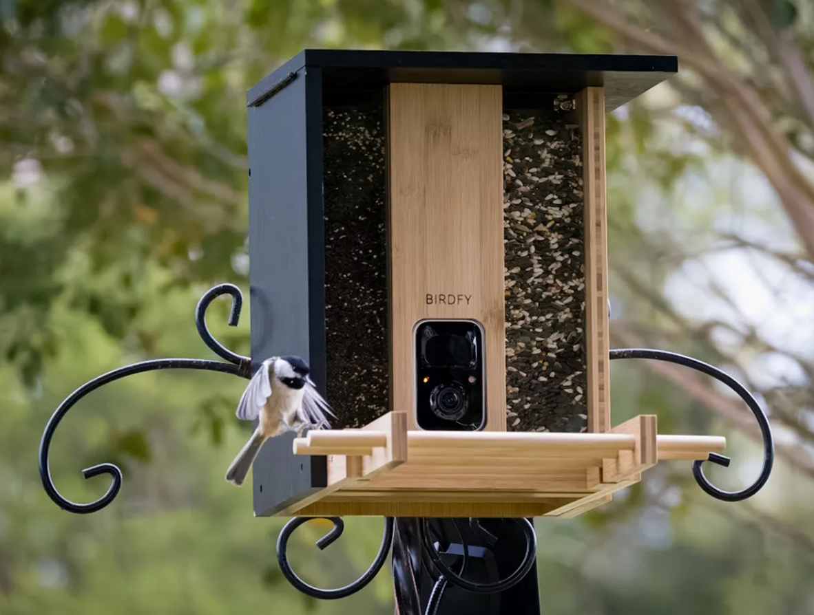 Bird Feeders with Camera