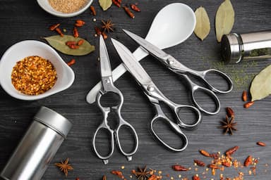 Kitchen Shears