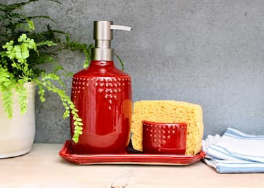 Dish Soap Dispensers with Sponge Holder