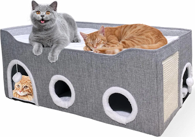 Beds for Indoor Cats