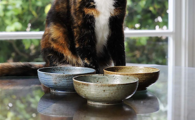 Cat Bowls