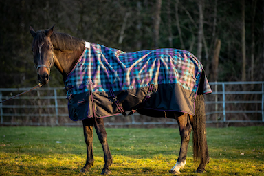 Winter Horse Blankets