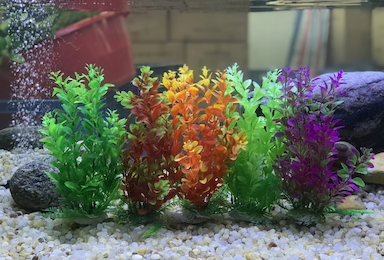 Plastic Aquarium Plants