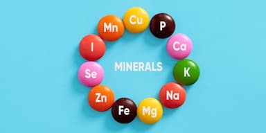 Mineral Supplements