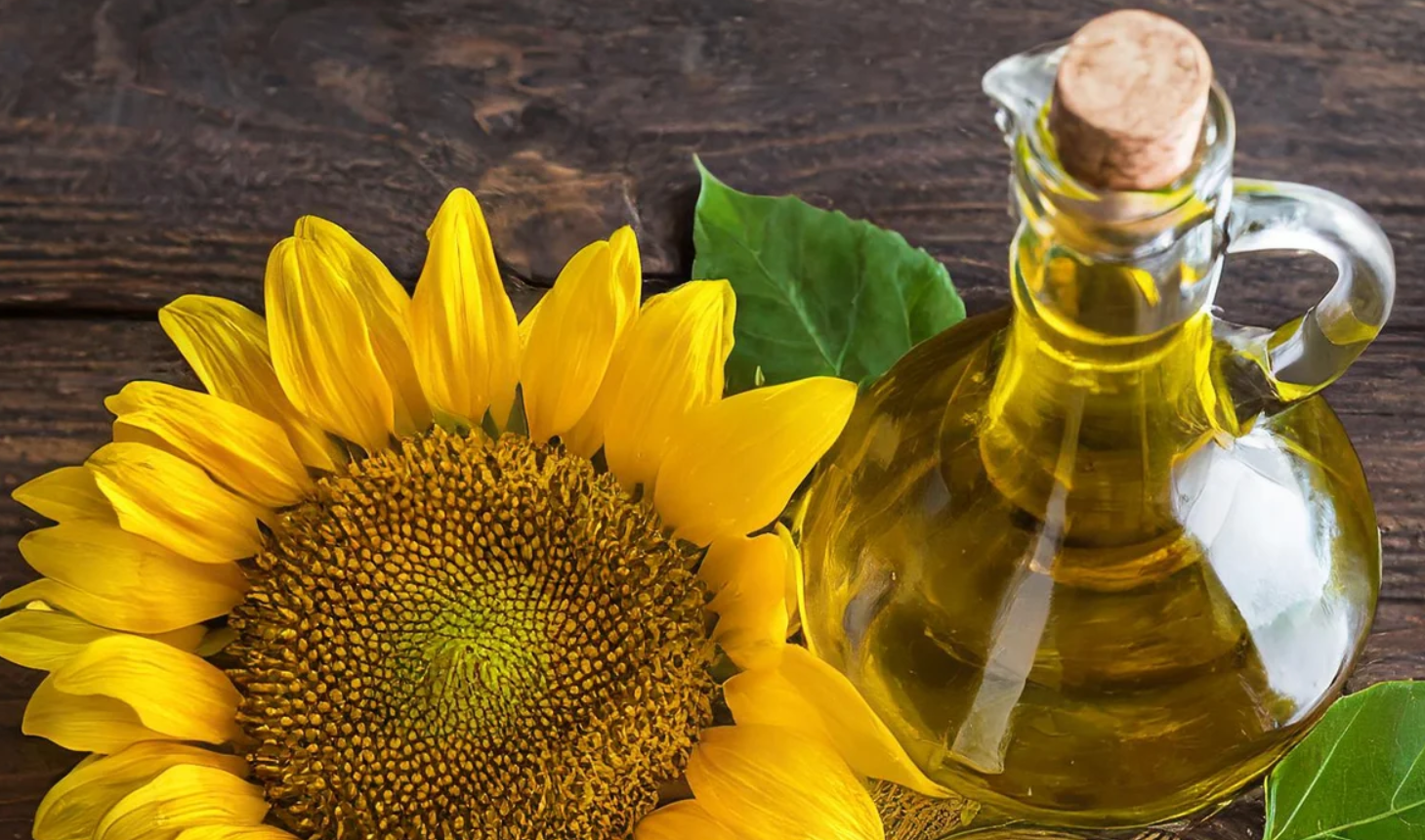 Sunflower Oils