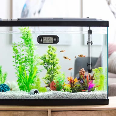 Fish Tank Thermometers