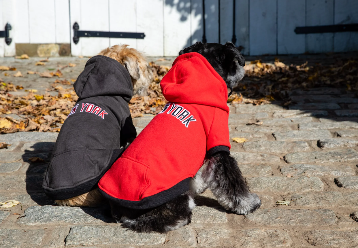 Dog Hoodies