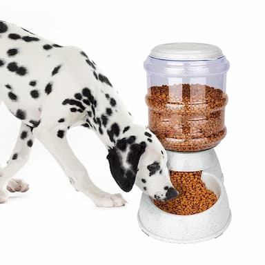 Food Dispensers for Dog