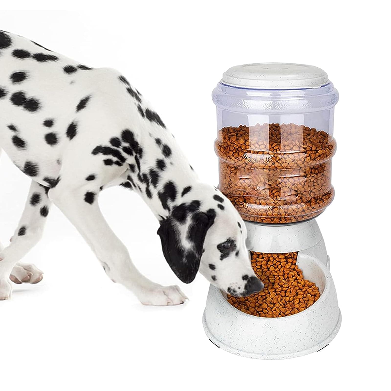 Food Dispensers for Dog