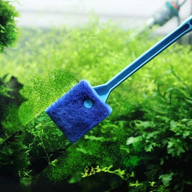 Fish Tank Sponge Cleaners