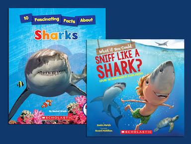 Books about Sharks