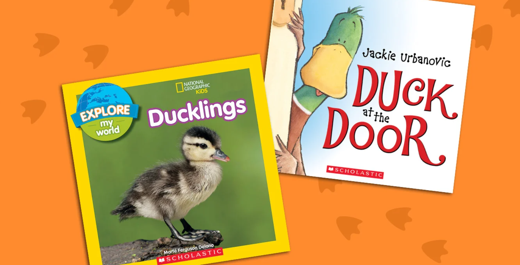 Books about Ducks
