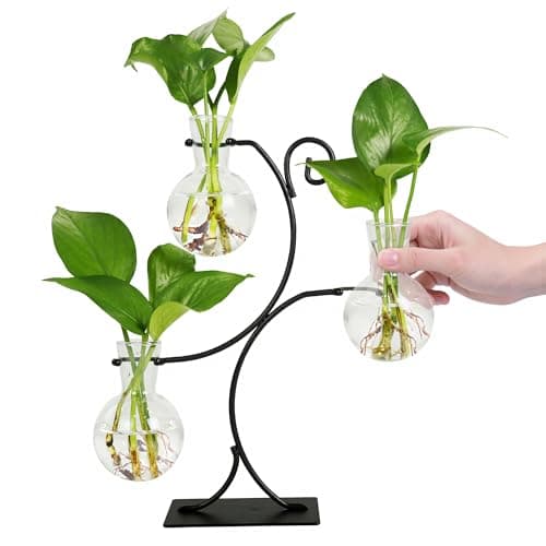 Best Propagation Glass Vases #9 from Renmxj Renmxj 2025 New Desktop Plant Propagation Stations, Plant Terrarium with Metal Stand, 3 Bulb Glass Propagation Vases for Hydroponic Plants, Home Office Decor Planter Gardening Gifts for Women