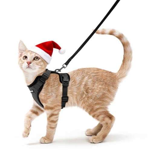 Best Cat Clothes #7 from rabbitgoo rabbitgoo Cat Harness and Leash for Walking, Escape Proof Soft Adjustable Vest Harnesses for Cats, Easy Control Breathable Reflective Strips Jacket, Black, XS