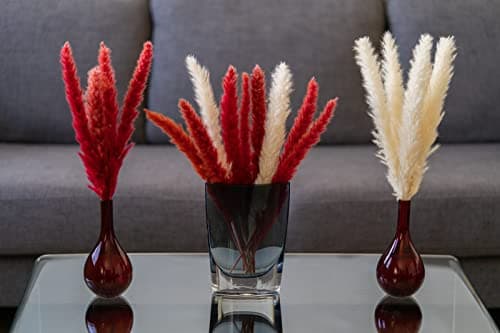 Best Pampas grasses #3 from Golden Ceiba Golden Ceiba Natural Pampas Grass Home Decor, 15 Full and Fluffy Stalks, Tall 40 cm Real Grasses for Living Room, Bedroom, and Office Decorations, Rustic Farmhouse Red and Beige Colors