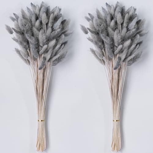 Best Pampas grasses #1 from CKBT 120 PCS Dried Pampas Grass Decor, 17-inch Pompas Floral, Dry Flowers for Decoration, Pampas Grass in Bulk Tall, Bunny Tails Dried Flowers for Boho Wedding Decor