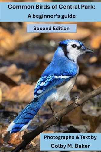Best Books About Birds #2 from Common Birds of Central Park: A beginner's guide (2nd Edition)