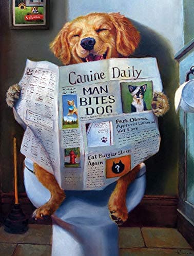 Best Puzzle for Adults #1 from Buffalo Games Buffalo Games - Dog Gone Funny - A Dog's Life - Lucia Heffernan - 750 Piece Jigsaw Puzzle for Adults - Challenging and Funny Puzzle Perfect for Game Nights - Finished Size 24.00 x 18.00