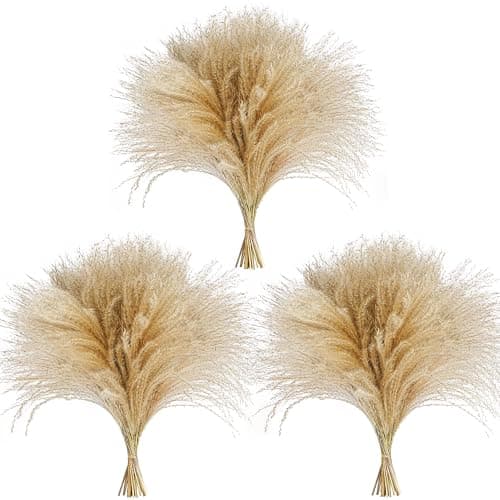 Best Pampas grasses #5 from CKBT 120 PCS Exquisite Natural Pampas Grass Decor - Versatile Reed Grasses for Home & Event Decoration, Pompous Fluffy Tall Dried Reed Grass - Perfect for Vases, Wreaths & Table Centerpieces